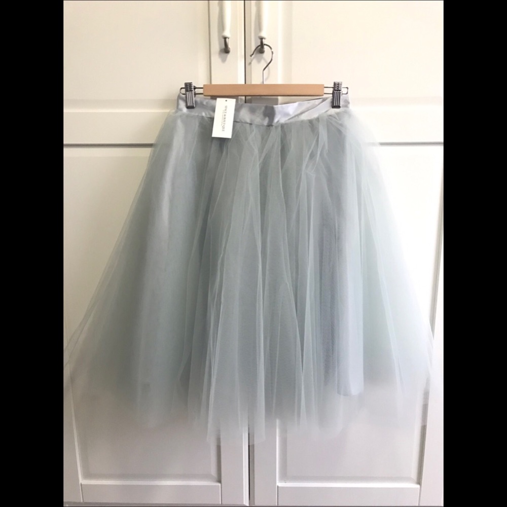 Space 46 Boutique Tulle Skirt $80 OBO